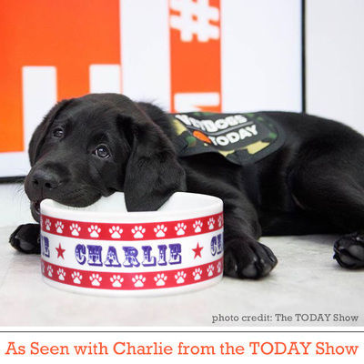 Patriotic Paws Pet Bowl